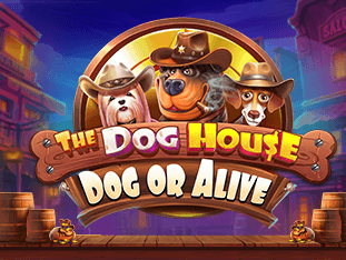 The Dog House - Dog or Alive icon