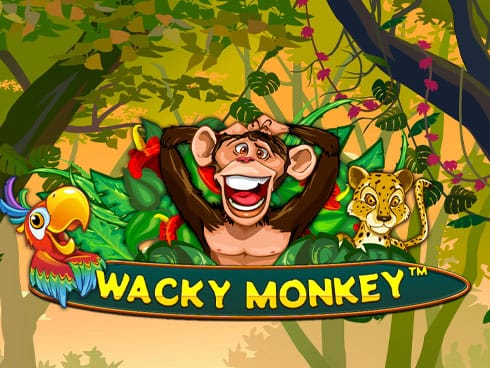 Wacky Monkey icon